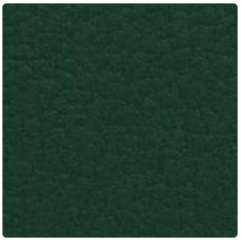 TENA-0940 forest
